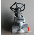 Forged steel globe valve